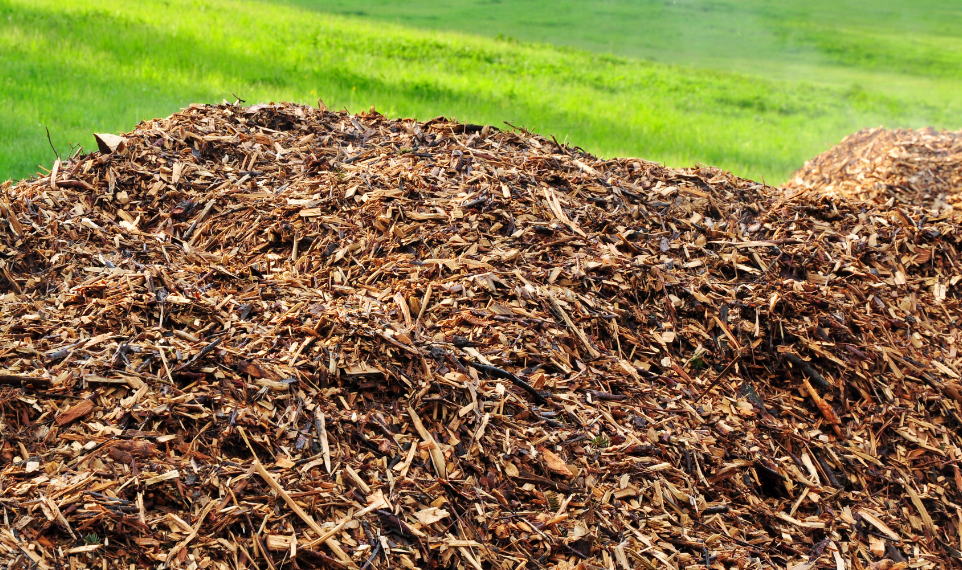 02_Kollektionen/Lösungen